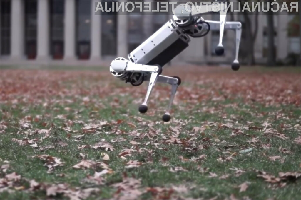 Miniaturni robot v obliki psa Mini Cheetah lahko brez težav opravi skok nazaj.