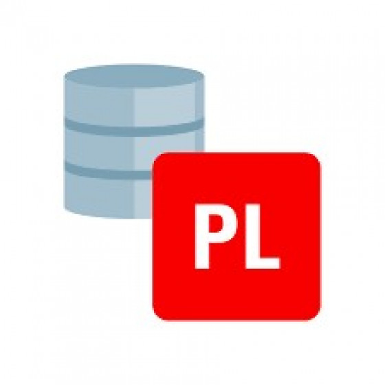 Spoznaj programski jezik PL/SQL