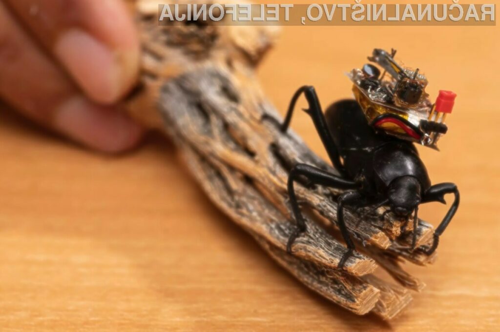 Miniaturna kamera bo znanstvenikom omogočala natančno proučevanje življenja in vedenja večjih žuželk v divjini.