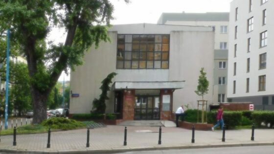 Poljska davčna uprava se proti goljufijam bori kar s pomočjo umetne inteligence.