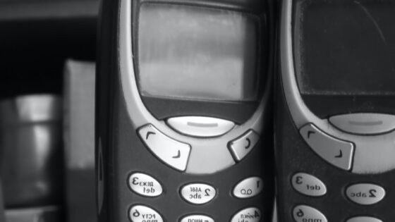 Telefon Nokia 3310 je imel za tiste čase razmeroma dovršeno programsko opremo za klepet.