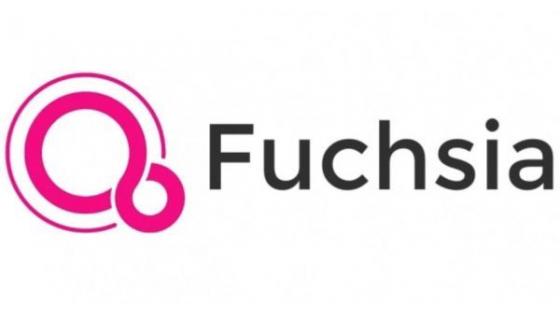 Razvoj operacijskega sistema Google Fuchsia naj bi odslej potekal precej hitreje.