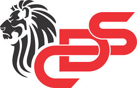 CDS Com logotip
