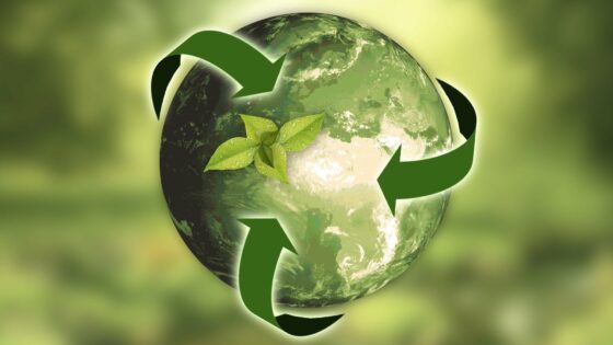 Podjetja in organizacije stremijo k trajnostnim rešitvam, s katerimi bodo zmanjšali svoj ogljični odtis in vpliv na okolje.