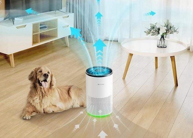 airygen-air-humidifier-airygen-proscenic-a8-air-purifier-with-h13-hepa-filter-app-alexa-google-assistant-contro