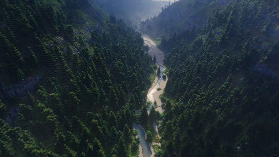 Foto: Plopidr_'s - Reddit