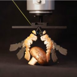 Foto: Create Lab EPFL