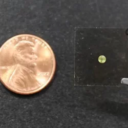 Foto: Columbia University