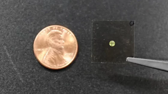 IBM in Google v 150-milijonski misiji za razvoj 100.000-kubitnega superračunalnika