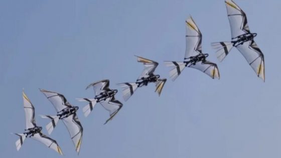 Kitajski robot, ki leti kot pravi ptič