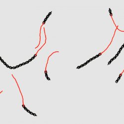 Foto: Leiden University