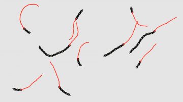 Foto: Leiden University