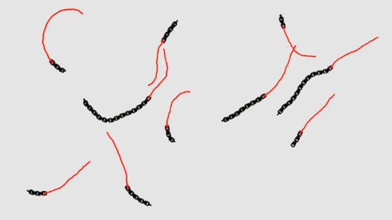 Foto: Leiden University