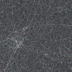 Foto: Nature Communications