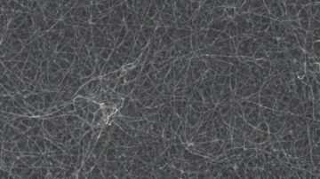 Foto: Nature Communications