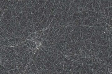  Nature Communications