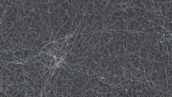 Foto: Nature Communications