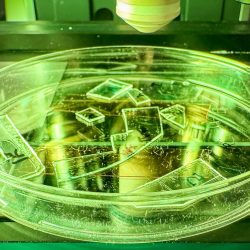 Foto: RMIT University