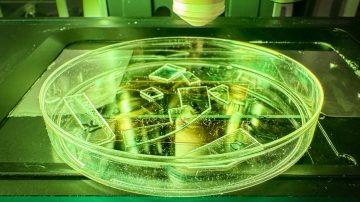 Foto: RMIT University