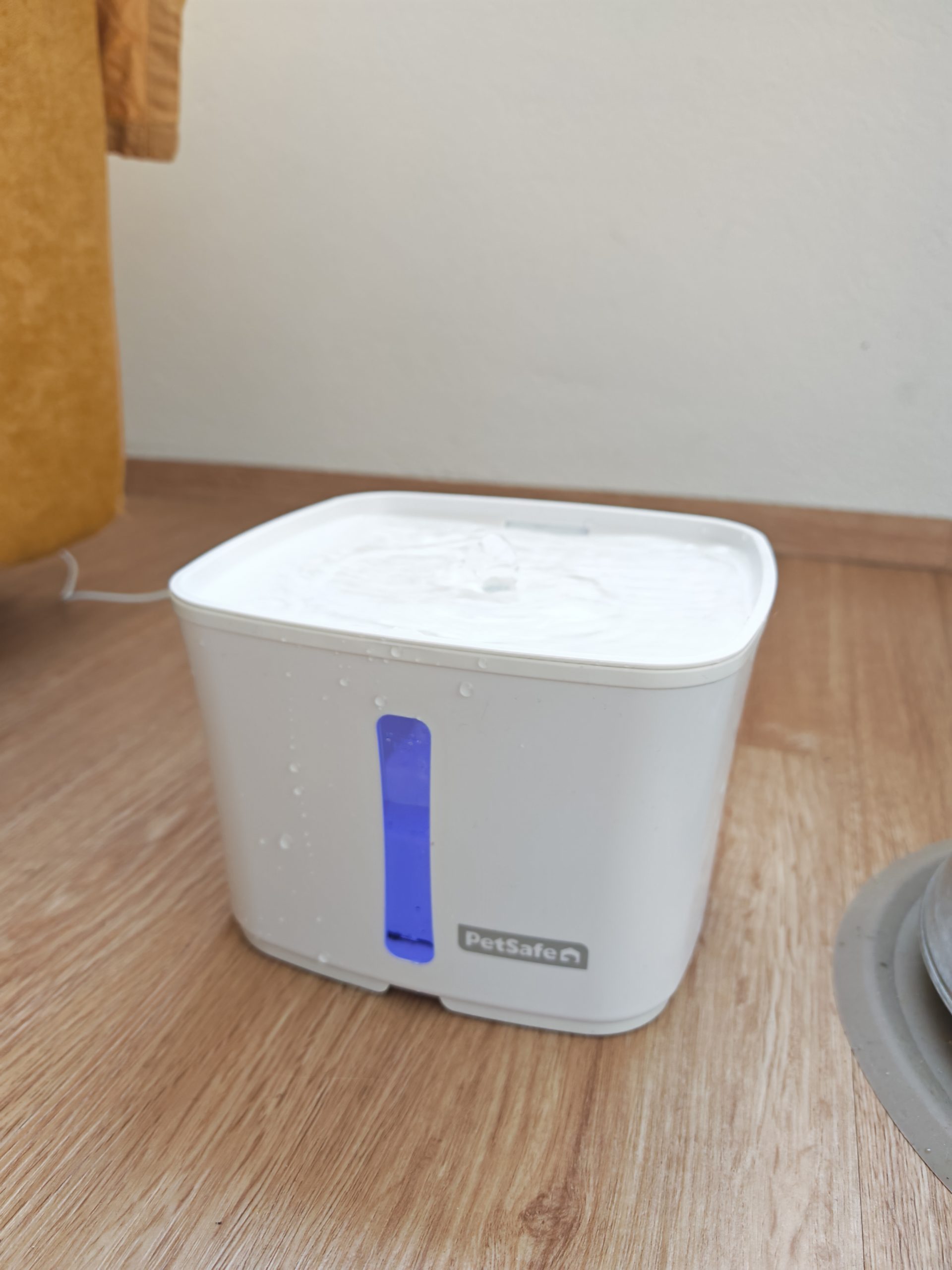 Test PetSafe fontane in hranilnik review 6