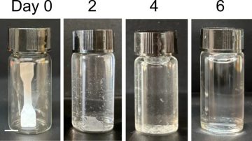 Foto: Adapted from ACS Applied Polymer Materials 2026
