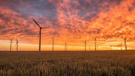 Obnovljivi viri energije niso več nišna izbira, ampak varna naložba za prihodnost