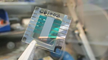 Foto: CSIRO